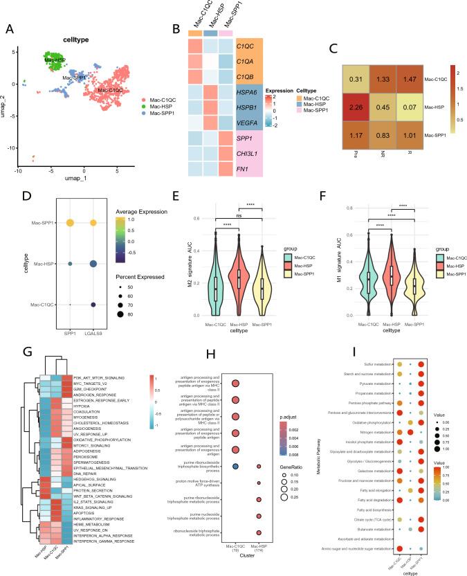 https://cdn.ncbi.nlm.nih.gov/pmc/blobs/5575/11455823/6366a262b32a/262_2024_3848_Fig4_HTML.jpg