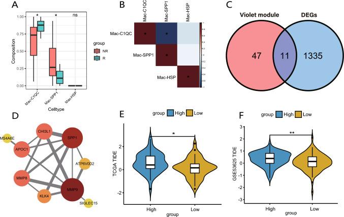 https://cdn.ncbi.nlm.nih.gov/pmc/blobs/5575/11455823/c00cde0b8e37/262_2024_3848_Fig8_HTML.jpg