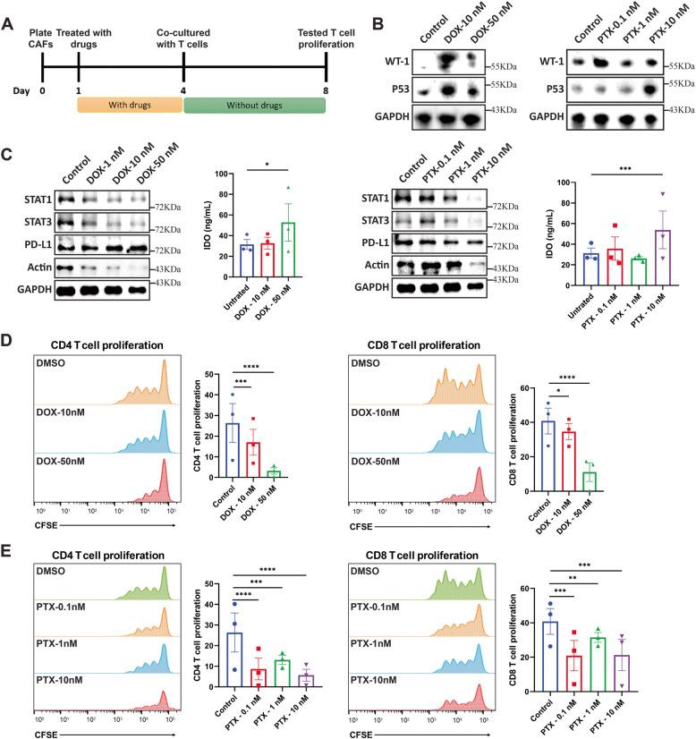 https://cdn.ncbi.nlm.nih.gov/pmc/blobs/5577/12211983/194157f5b009/12964_2025_2292_Fig7_HTML.jpg