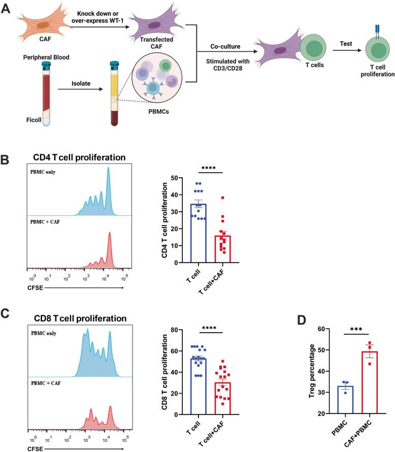 https://cdn.ncbi.nlm.nih.gov/pmc/blobs/5577/12211983/2ce0df1847a6/12964_2025_2292_Fig2_HTML.jpg