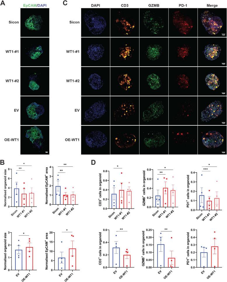 https://cdn.ncbi.nlm.nih.gov/pmc/blobs/5577/12211983/3da76d9e921c/12964_2025_2292_Fig6_HTML.jpg