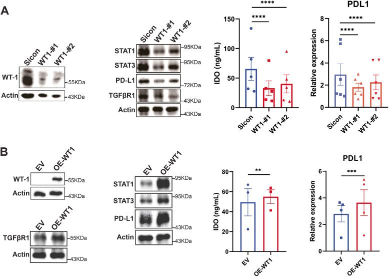 https://cdn.ncbi.nlm.nih.gov/pmc/blobs/5577/12211983/8e0370c1e773/12964_2025_2292_Fig4_HTML.jpg