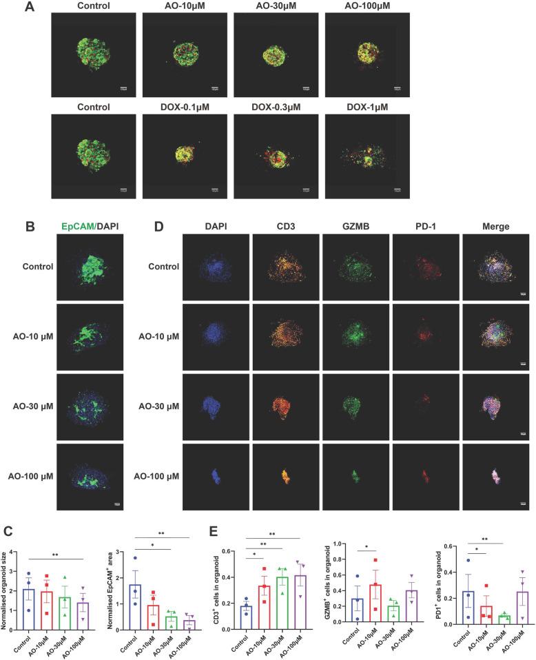 https://cdn.ncbi.nlm.nih.gov/pmc/blobs/5577/12211983/998abc0c0697/12964_2025_2292_Fig9_HTML.jpg
