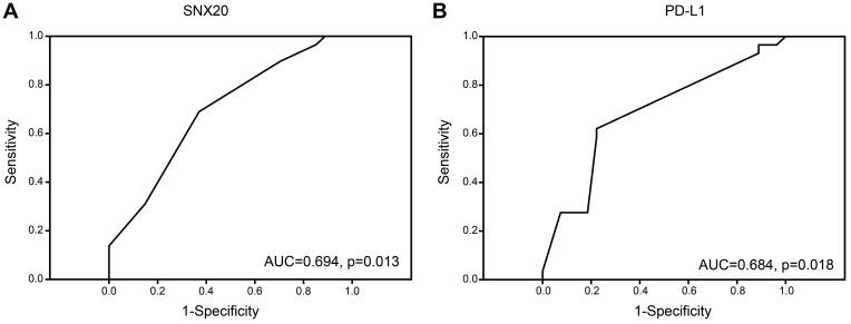 https://cdn.ncbi.nlm.nih.gov/pmc/blobs/5577/7555289/07289b221207/OTT-13-10075-g0004.jpg