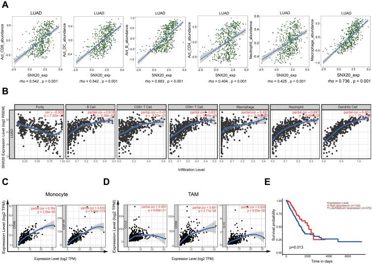 https://cdn.ncbi.nlm.nih.gov/pmc/blobs/5577/7555289/8df899764a7b/OTT-13-10075-g0002.jpg