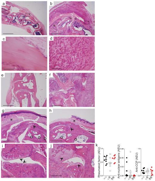https://cdn.ncbi.nlm.nih.gov/pmc/blobs/557d/3419270/4ee6ee46f842/nihms323369f8.jpg