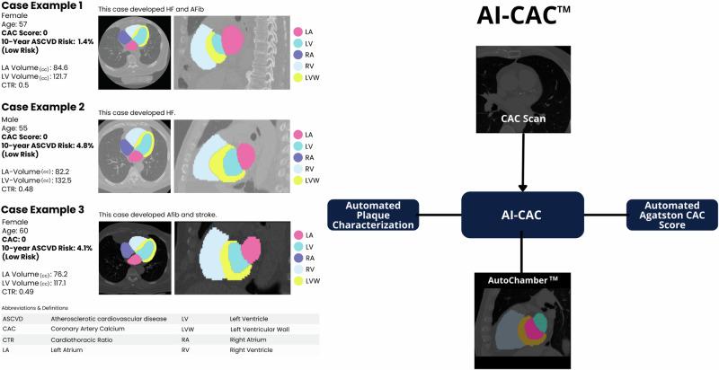 https://cdn.ncbi.nlm.nih.gov/pmc/blobs/557e/11538462/bd16436031df/41746_2024_1308_Fig1_HTML.jpg