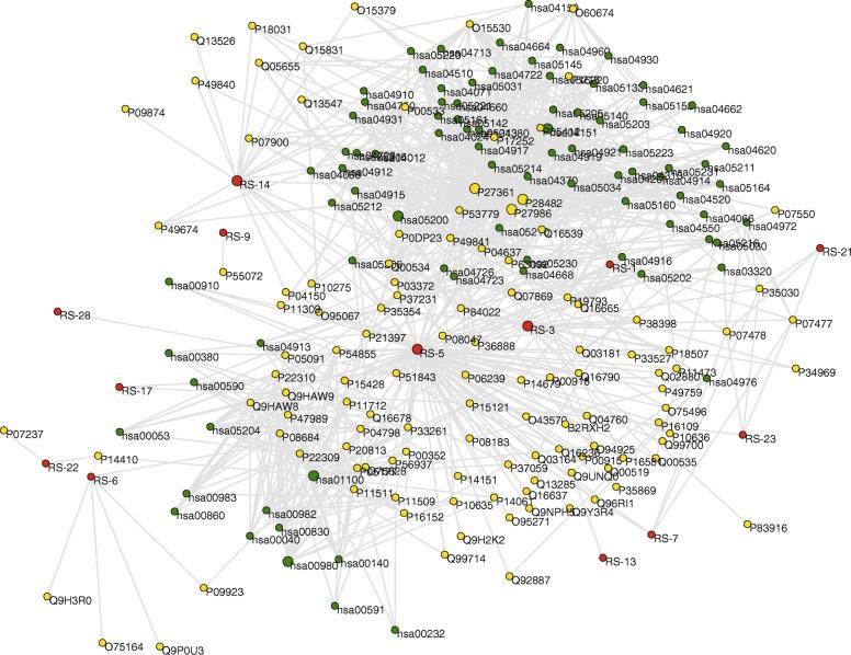 https://cdn.ncbi.nlm.nih.gov/pmc/blobs/557f/7076893/94dfc89e9729/12906_2020_2871_Fig2_HTML.jpg