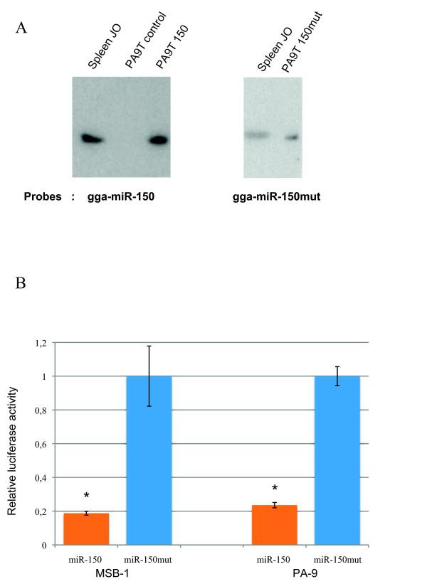 https://cdn.ncbi.nlm.nih.gov/pmc/blobs/5580/2940766/6092c11842bf/1471-2199-11-67-2.jpg