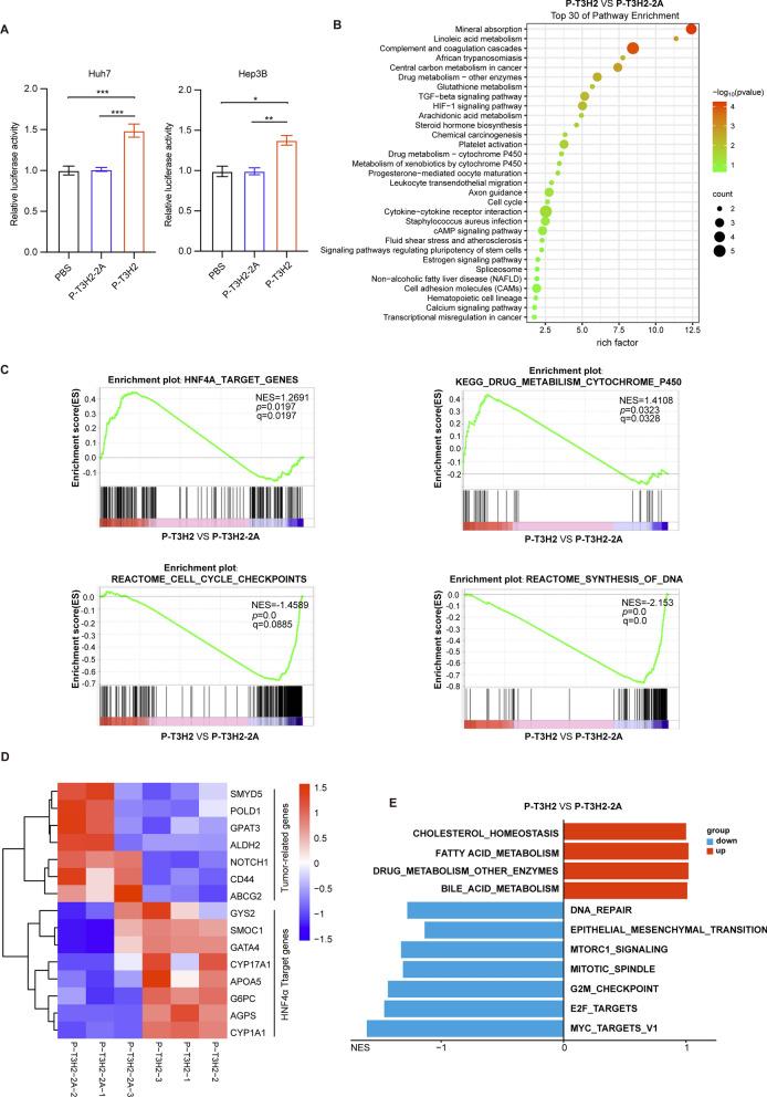 https://cdn.ncbi.nlm.nih.gov/pmc/blobs/5581/11621286/e08895c6abdf/12672_2024_1661_Fig4_HTML.jpg