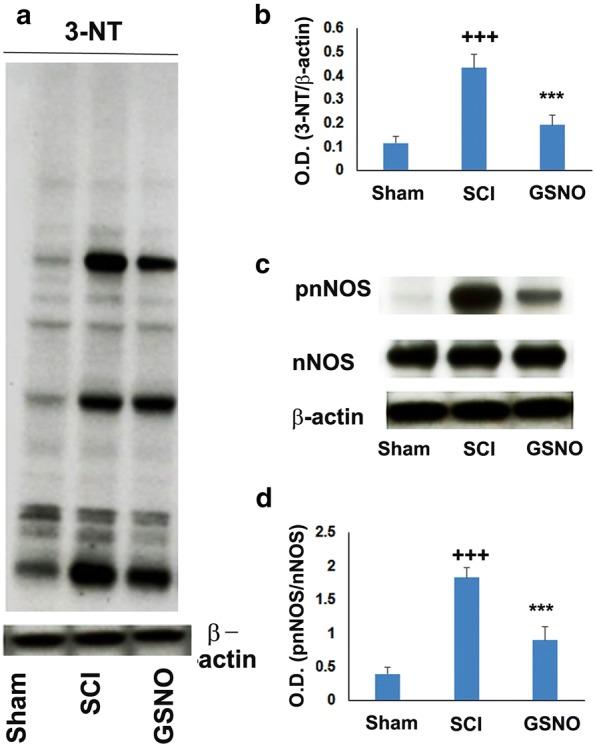 https://cdn.ncbi.nlm.nih.gov/pmc/blobs/5581/6090709/3baa56d1a978/12868_2018_450_Fig3_HTML.jpg