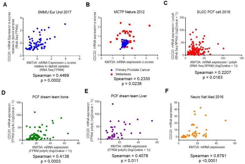 https://cdn.ncbi.nlm.nih.gov/pmc/blobs/5582/10377584/e7d3b46cb99f/cancers-15-03597-g004.jpg