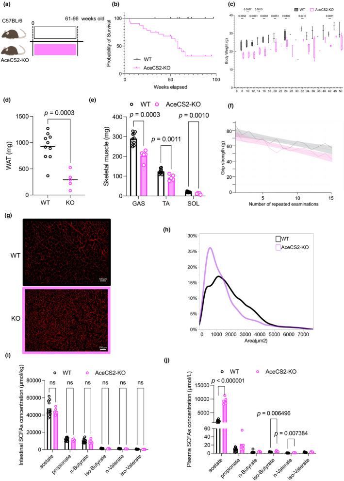 https://cdn.ncbi.nlm.nih.gov/pmc/blobs/5582/11150057/992a5d8b5261/PHY2-12-e16047-g001.jpg