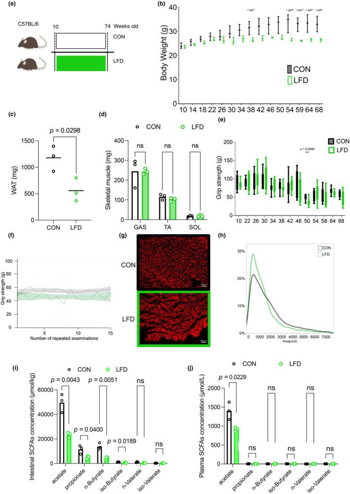 https://cdn.ncbi.nlm.nih.gov/pmc/blobs/5582/11150057/cce94f234459/PHY2-12-e16047-g002.jpg