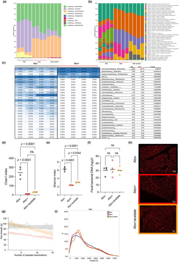 https://cdn.ncbi.nlm.nih.gov/pmc/blobs/5582/11150057/e49cfddf400c/PHY2-12-e16047-g004.jpg