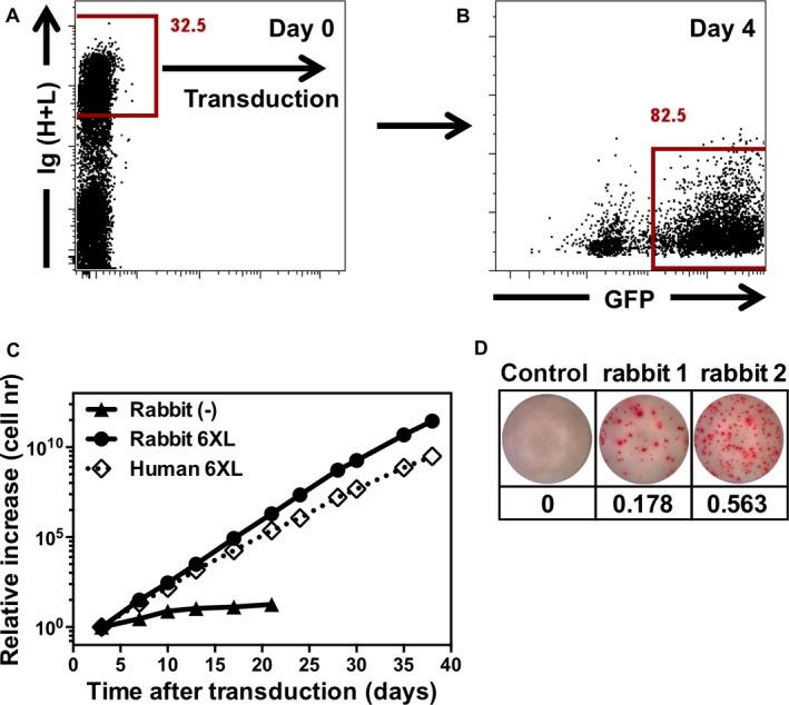 https://cdn.ncbi.nlm.nih.gov/pmc/blobs/5583/4755196/642381adff9c/IMR-270-65-g003.jpg