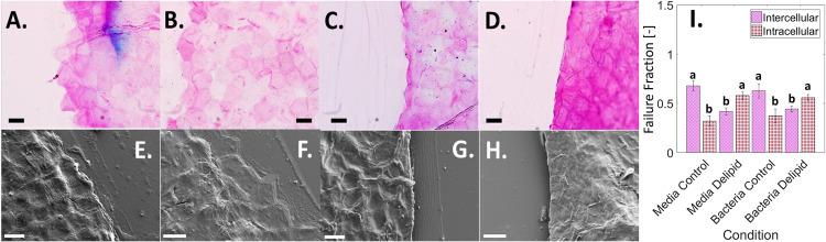 https://cdn.ncbi.nlm.nih.gov/pmc/blobs/5583/9241919/be0bc71bdbc3/spectrum.02744-21-f005.jpg