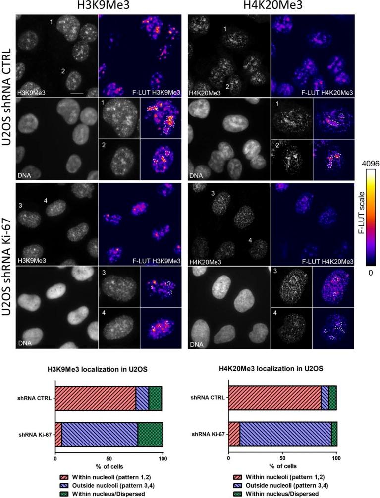 https://cdn.ncbi.nlm.nih.gov/pmc/blobs/5587/4841783/5d7fdf3796ff/elife-13722-fig10-figsupp1.jpg