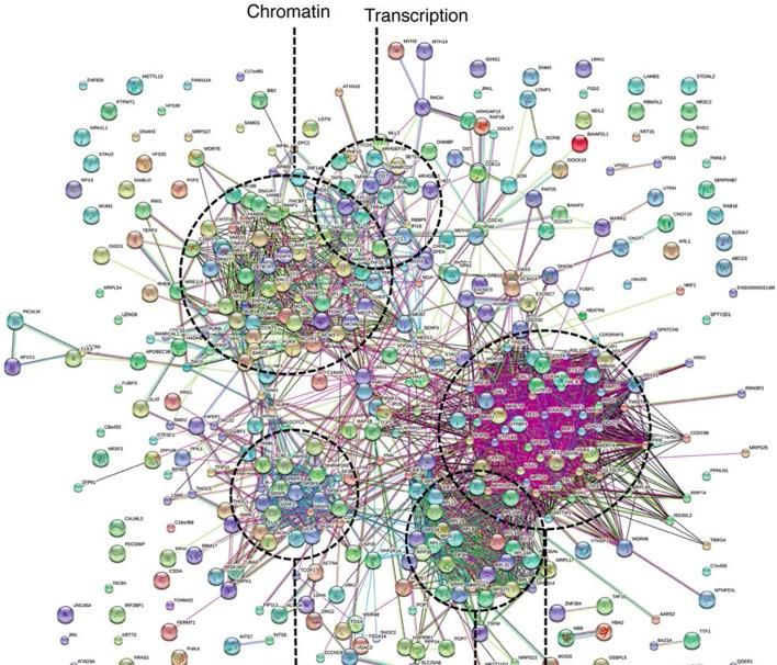 https://cdn.ncbi.nlm.nih.gov/pmc/blobs/5587/4841783/ea56797686df/elife-13722-fig6-figsupp2.jpg
