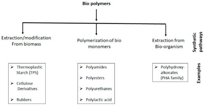 https://cdn.ncbi.nlm.nih.gov/pmc/blobs/5587/9606967/33cf1efa3bc4/polymers-14-04338-g002.jpg