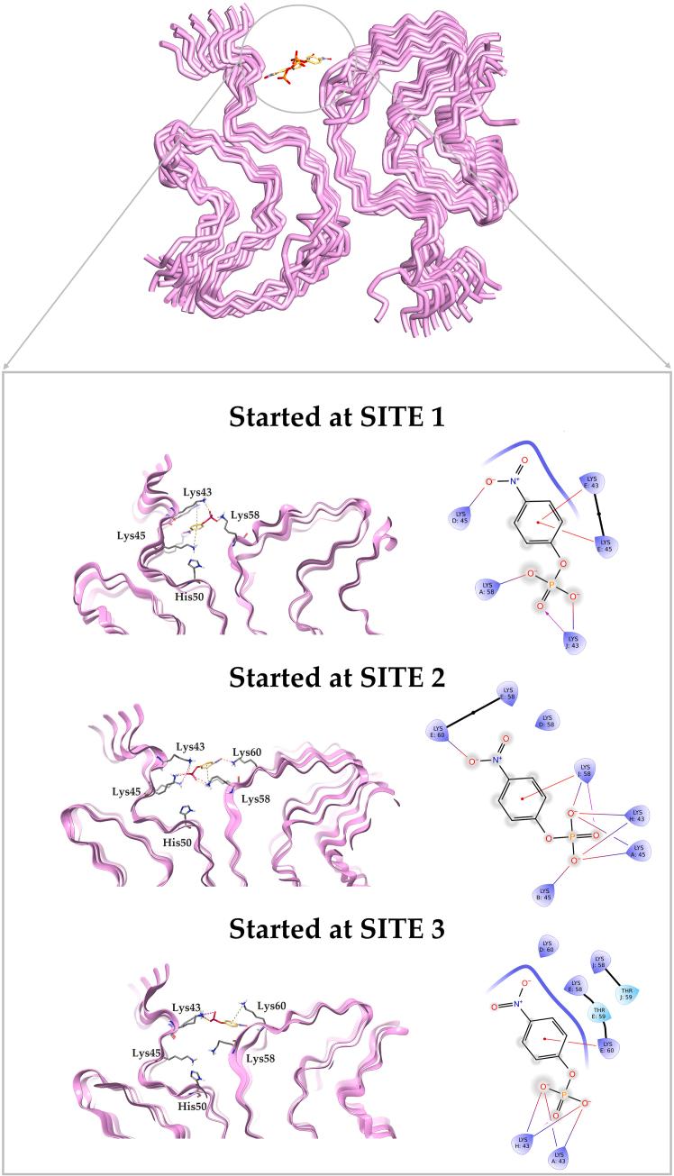 https://cdn.ncbi.nlm.nih.gov/pmc/blobs/5589/12414660/02682941a57c/gr5.jpg
