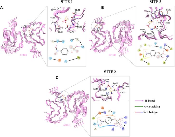 https://cdn.ncbi.nlm.nih.gov/pmc/blobs/5589/12414660/db7ac01c26ce/gr2.jpg