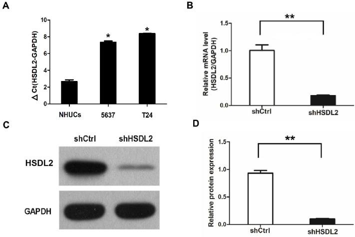 https://cdn.ncbi.nlm.nih.gov/pmc/blobs/5589/6566746/10b127ac2f28/ijmsv16p0654g001.jpg