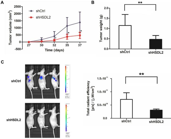 https://cdn.ncbi.nlm.nih.gov/pmc/blobs/5589/6566746/6f26d7a59609/ijmsv16p0654g005.jpg