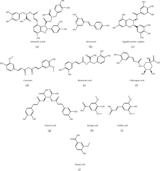 https://cdn.ncbi.nlm.nih.gov/pmc/blobs/558b/7556091/14afc27fc51c/ECAM2020-7171498.003.jpg