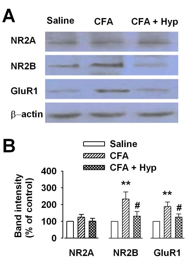 https://cdn.ncbi.nlm.nih.gov/pmc/blobs/558e/2803476/d22a99b4e782/1744-8069-5-71-1.jpg