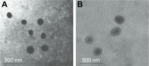 https://cdn.ncbi.nlm.nih.gov/pmc/blobs/558e/5344431/c32b98777237/ijn-12-1791Fig6.jpg