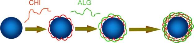 https://cdn.ncbi.nlm.nih.gov/pmc/blobs/558e/5344431/e7e95024ca53/ijn-12-1791Fig1.jpg