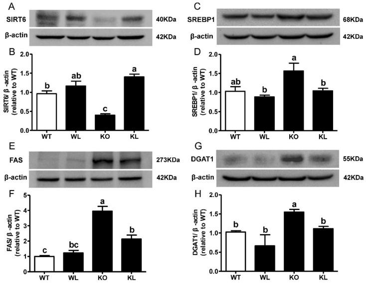 https://cdn.ncbi.nlm.nih.gov/pmc/blobs/558f/9180543/8cb1a0f4a2f6/foods-11-01638-g006.jpg