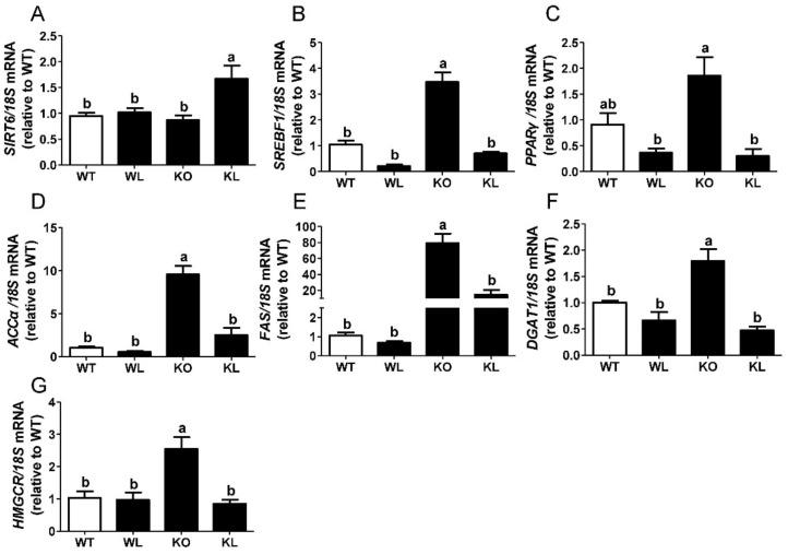 https://cdn.ncbi.nlm.nih.gov/pmc/blobs/558f/9180543/dec74b34422e/foods-11-01638-g005.jpg