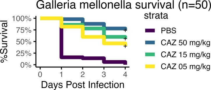 https://cdn.ncbi.nlm.nih.gov/pmc/blobs/5590/12188716/4df05108d4a9/msphere.00840-24.f005.jpg