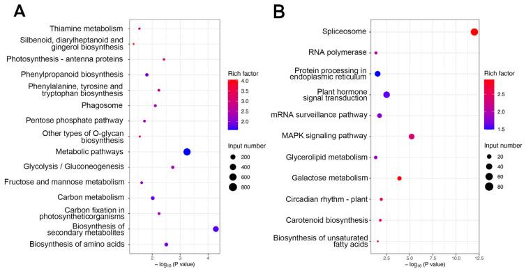 https://cdn.ncbi.nlm.nih.gov/pmc/blobs/5591/12349325/4d33d724f798/plants-14-02436-g003.jpg