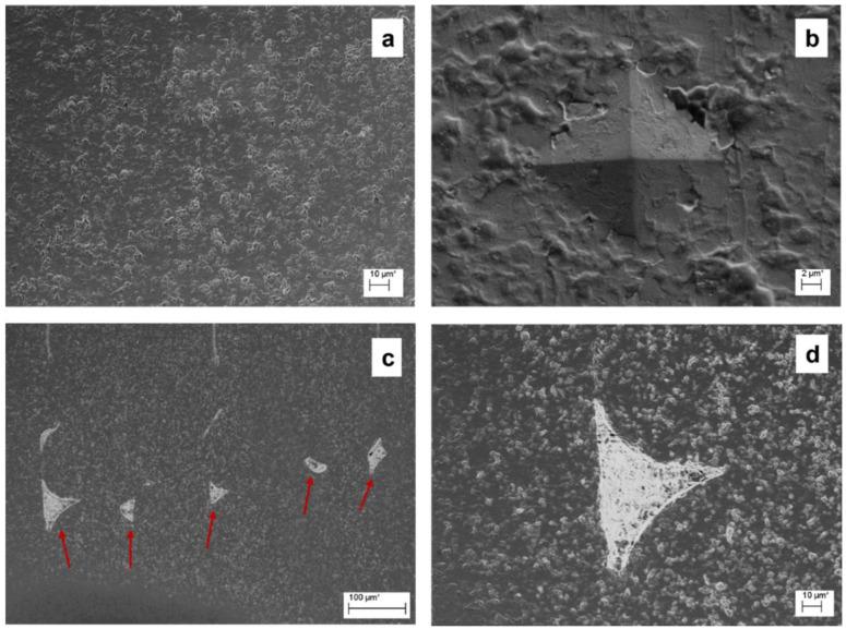 https://cdn.ncbi.nlm.nih.gov/pmc/blobs/5591/9607584/6e0e508d9ca3/materials-15-07399-g005.jpg