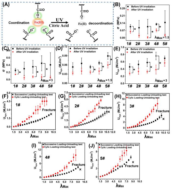 https://cdn.ncbi.nlm.nih.gov/pmc/blobs/5594/9921367/79fc1e23c8a8/polymers-15-00724-g003.jpg