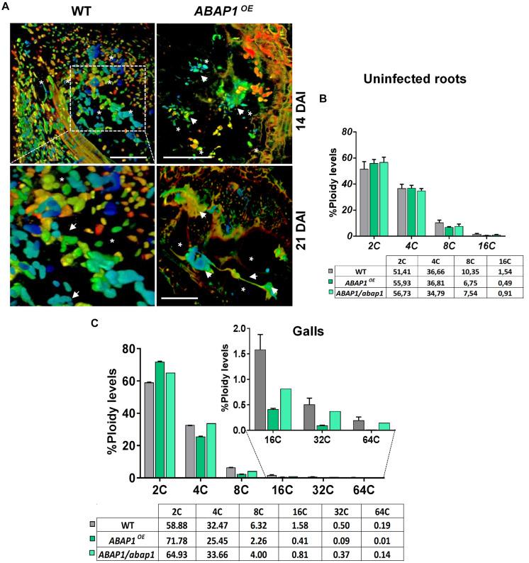 https://cdn.ncbi.nlm.nih.gov/pmc/blobs/5595/8121025/b4b5a7240a80/fpls-12-636663-g007.jpg