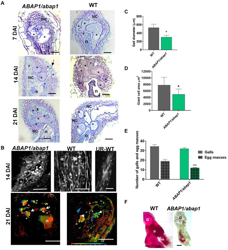 https://cdn.ncbi.nlm.nih.gov/pmc/blobs/5595/8121025/c66c17d2bbac/fpls-12-636663-g004.jpg