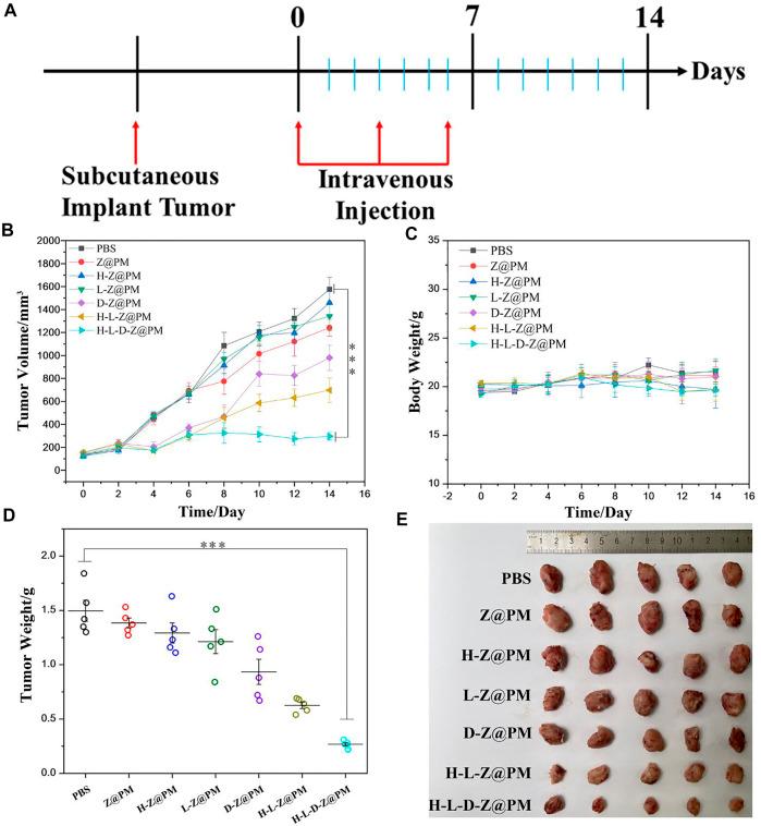 https://cdn.ncbi.nlm.nih.gov/pmc/blobs/5595/9135319/bfb64e6b29c8/fbioe-10-885105-g006.jpg