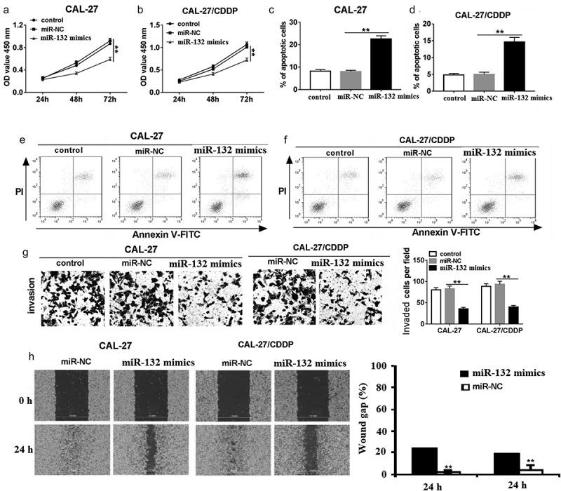 https://cdn.ncbi.nlm.nih.gov/pmc/blobs/5596/6961592/7b999ce59270/kbie-11-01-1710925-g003.jpg