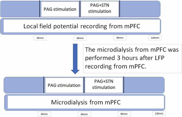 https://cdn.ncbi.nlm.nih.gov/pmc/blobs/5598/10598527/9d764d032bc7/gr6.jpg