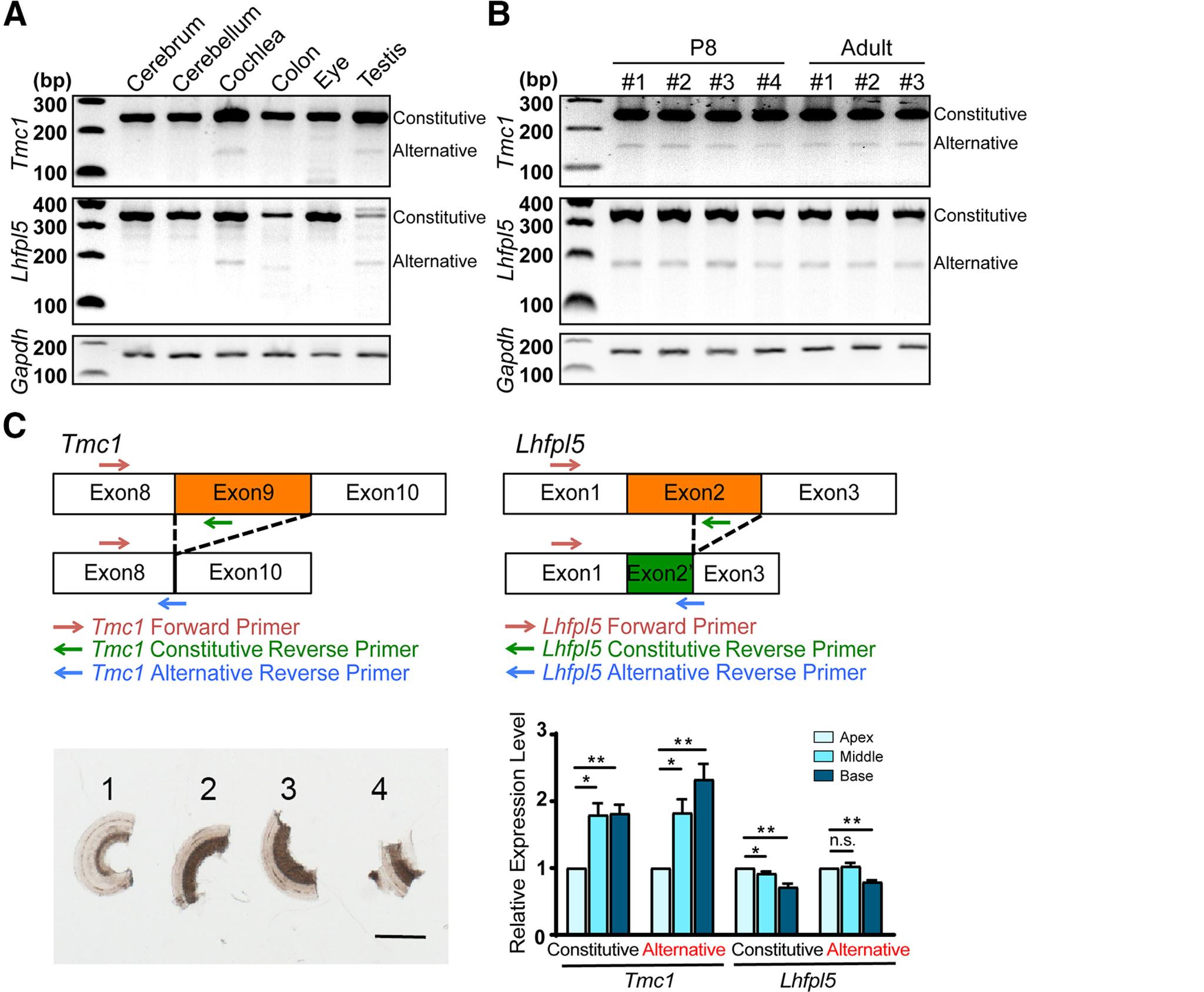 https://cdn.ncbi.nlm.nih.gov/pmc/blobs/5598/7920537/72a306a3536a/SN-ENUJ210033F003.jpg