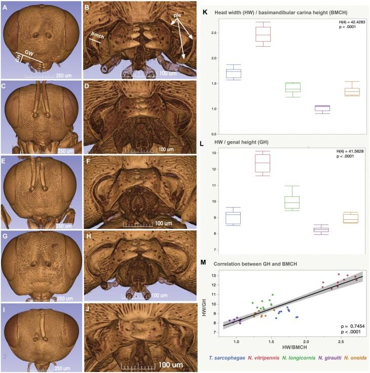 https://cdn.ncbi.nlm.nih.gov/pmc/blobs/5599/11997971/2b90740410c5/ieaf034_fig3.jpg