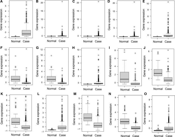 https://cdn.ncbi.nlm.nih.gov/pmc/blobs/559a/6356168/baa87fe3ef72/FEB4-9-315-g004.jpg