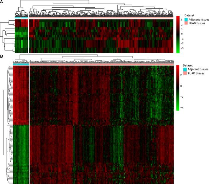 https://cdn.ncbi.nlm.nih.gov/pmc/blobs/559a/6356168/cbc67aa05763/FEB4-9-315-g001.jpg