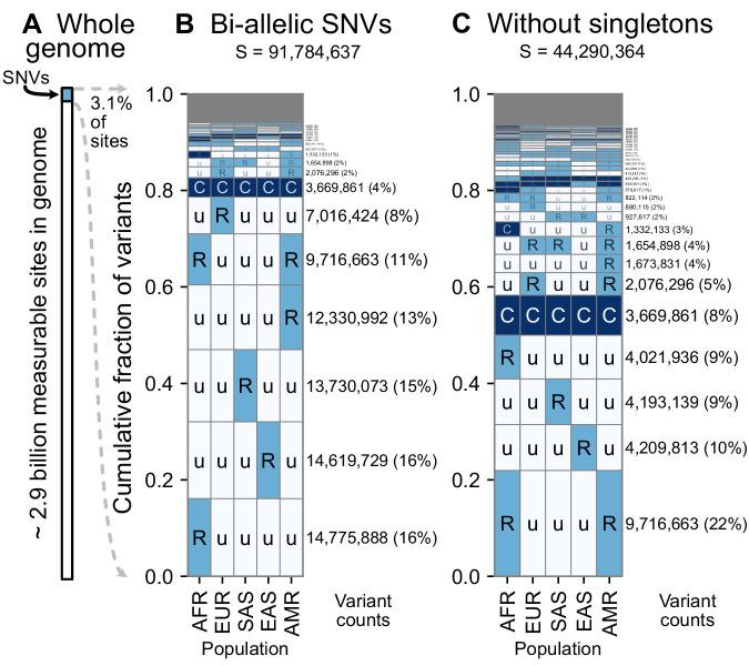 https://cdn.ncbi.nlm.nih.gov/pmc/blobs/559b/7755386/2e37398c9c15/elife-60107-fig3.jpg