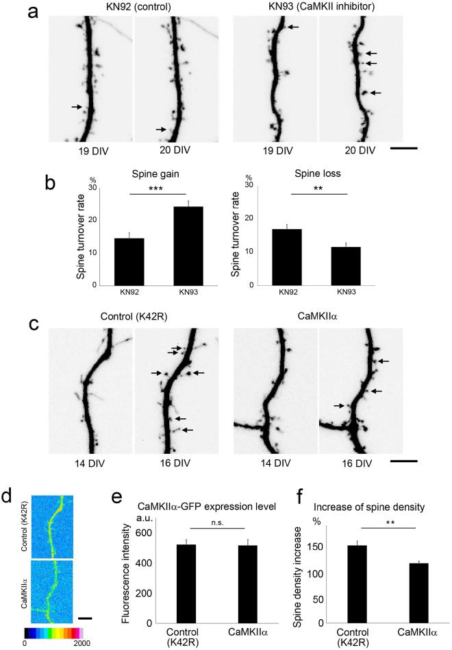 https://cdn.ncbi.nlm.nih.gov/pmc/blobs/559c/5645322/21d1297654fb/41598_2017_13728_Fig3_HTML.jpg