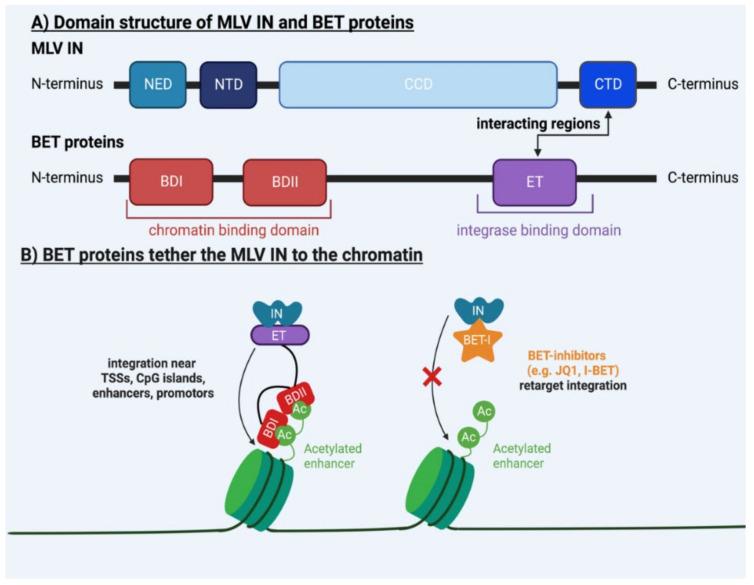 https://cdn.ncbi.nlm.nih.gov/pmc/blobs/559d/9861059/b506610ed844/viruses-15-00032-g001.jpg
